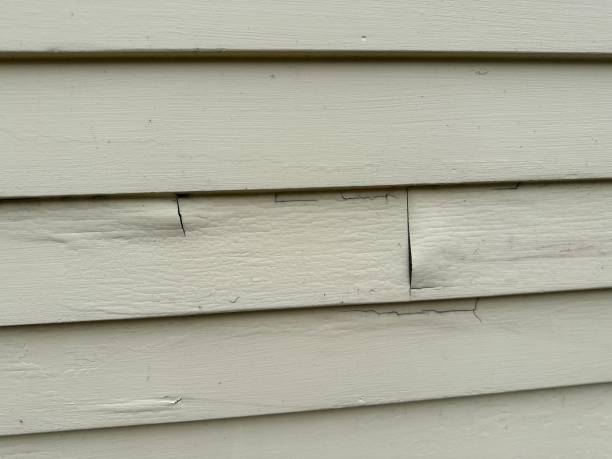 Best Siding Removal and Disposal  in Trezevant, TN